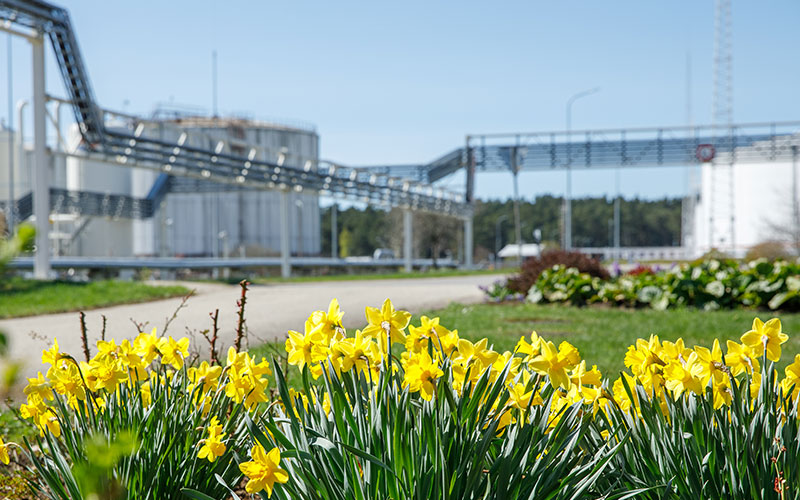 storage terminal during spring with daffodils in foreground
